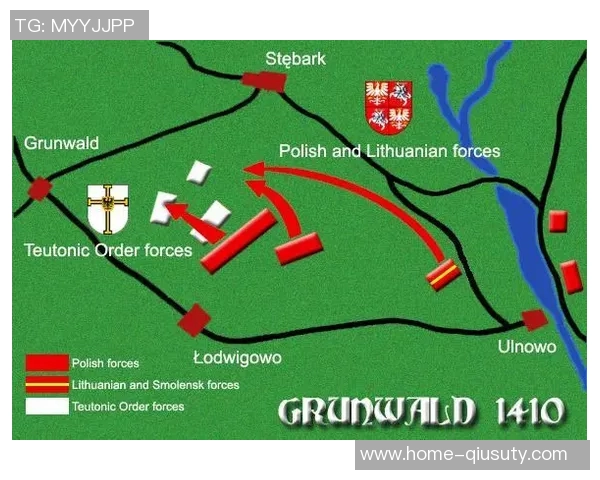 波兰与立陶宛的足球对决精彩回顾与战术分析